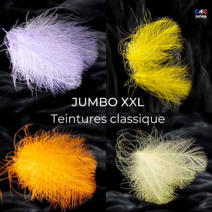 Plumes de CDC JUMBO XXL | Teintures classiques