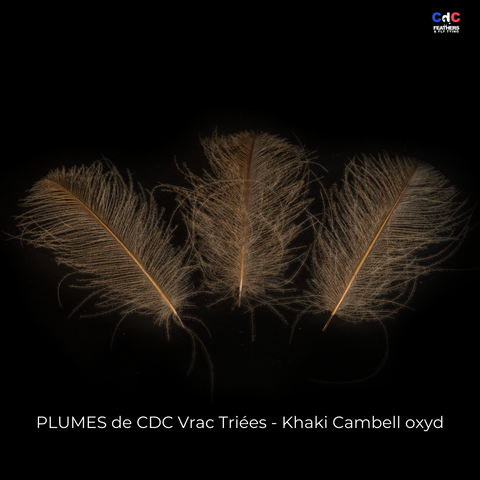Plumes de CDC Premium Triées - Khaki Camlbell oxyd