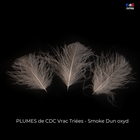 Plumes de CDC Premium Triées - Smoke Dun oxyd