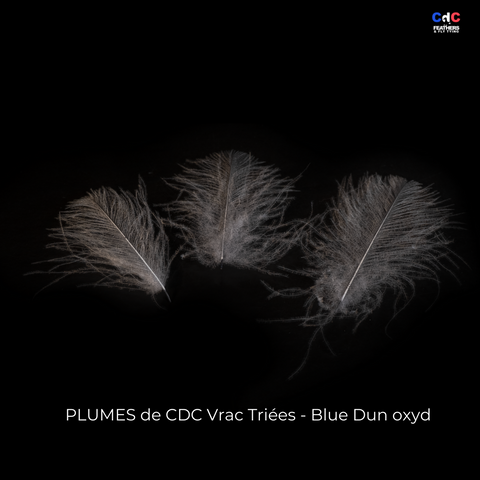 Plumes de CDC Premium Triées - Blue Dun oxyd