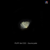 Puff de CDC - Jaune Pale