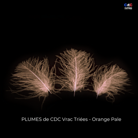 Plumes de CDC Premium Triées - Orange Pale