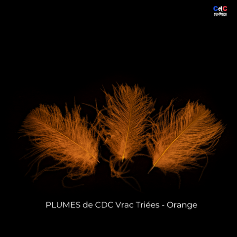 Plumes de CDC Premium Triées - Orange