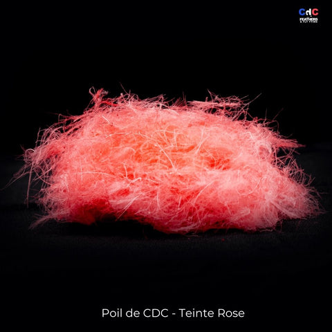 Dubbing de CDC - Rose