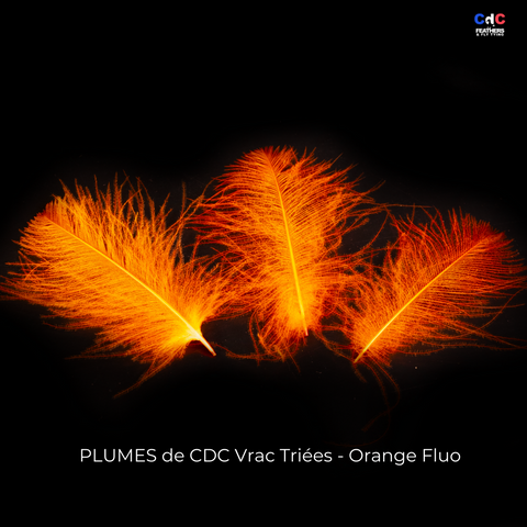 Plumes de CDC Premium Triées - Orange Fluo