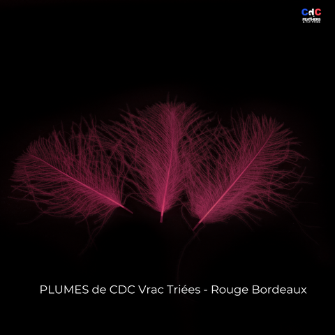 Plumes de CDC Premium Triées - Rouge Bordeaux