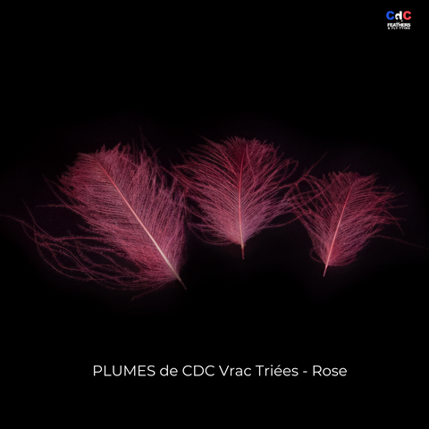 Plumes de CDC Premium Triées - Rose