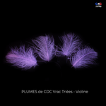Plumes de CDC Premium Triées - Violine