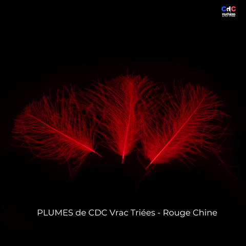 Plumes de CDC Premium Triées - Rouge Chine