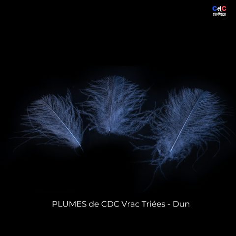 Plumes de CDC Premium Triées - Dun