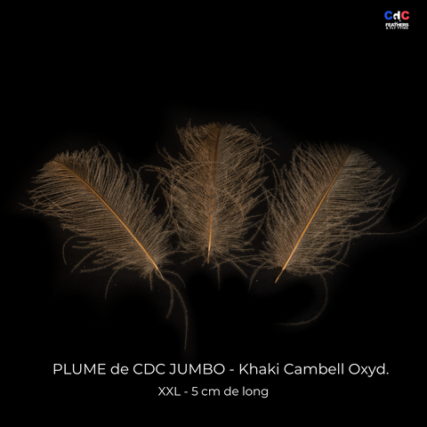 Plumes de CDC Ultra Sélectionnées JUMBO XXL - Khaki Cambell oxyd