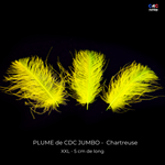 Plumes de CDC Ultra Sélectionnées JUMBO XXL - teinte Chartreuse