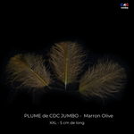 Plumes de CDC Ultra Sélectionnées JUMBO XXL - Marron Olive