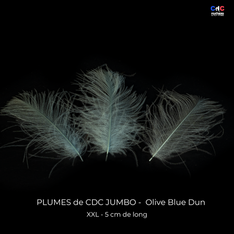Plumes de CDC Ultra Sélectionnées JUMBO XXL - Olive Blue Dun
