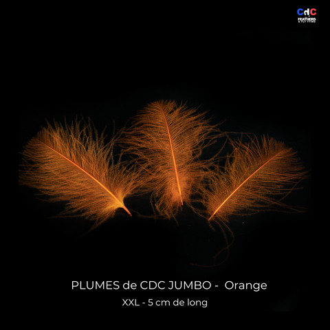 Plumes de CDC Ultra Sélectionnées JUMBO XXL - Orange