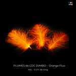 Plumes de CDC Ultra Sélectionnées JUMBO XXL - Orange Fluo