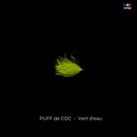 Puff de CDC - Olive